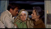 The Birds (1963)Jessica Tandy, Rod Taylor, Tippi Hedren, West Side Road, Bodega Bay, California and green